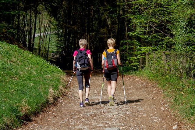 Kniearthrose Nordic Walking